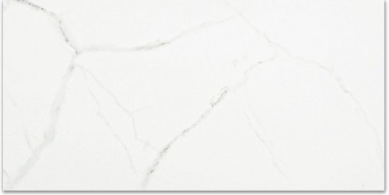 Polished Love 12X24 | Tiles By Kia