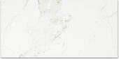 Polished Love 16X32 | Tiles By Kia
