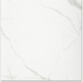 Polished Love 24X24 | Tiles By Kia