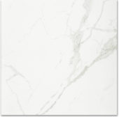 Polished Love 24X24 | Tiles By Kia