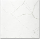 Polished Love 24X24 | Tiles By Kia