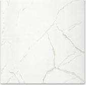Polished Love 24X24 | Tiles By Kia