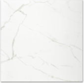 Polished Love 24X24 | Tiles By Kia