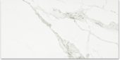 Polished Love 24X48 | Tiles By Kia