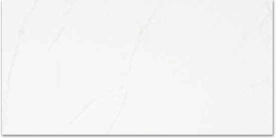 Polished Love 24X48 | Tiles By Kia