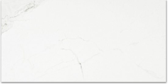 Polished Love 24X48 | Tiles By Kia