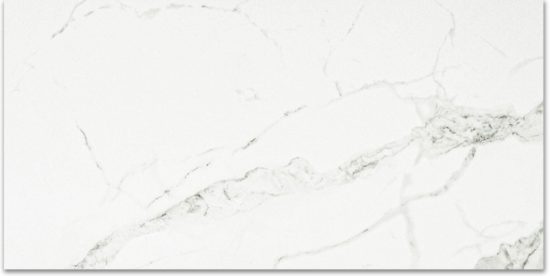 Polished Love 24X48 | Tiles By Kia