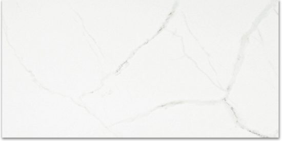 Polished Love 24X48 | Tiles By Kia