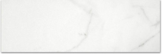 Polished Love 4X12 | Tiles By Kia