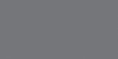 Polished Tokyo 12X24 | Tiles By Kia