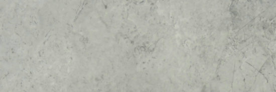 Roma Argento Honed 4X12 | Tiles By Kia