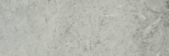 Roma Argento Honed 4X12 | Tiles By Kia