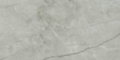 Roma Argento Polished 24X48 | Tiles By Kia