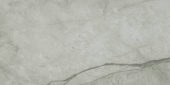 Roma Argento Polished 24X48 | Tiles By Kia