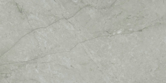 Roma Argento Polished 24X48 | Tiles By Kia