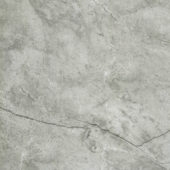 Roma Argento Polished 32X32 | Tiles By Kia