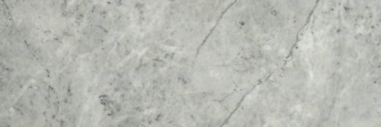 Roma Argento Polished 4X12 | Tiles By Kia