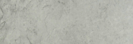 Roma Argento Polished 4X12 | Tiles By Kia