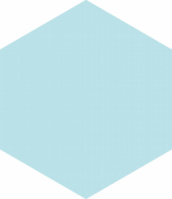 Ronda 5.5X6.3” Aqua Hexagon | Tiles By Kia