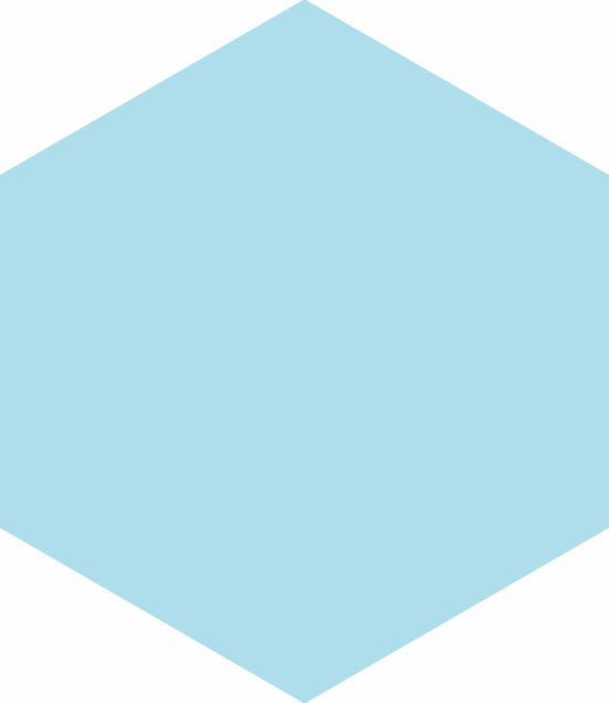 Ronda 5.5X6.3” Blue Hexagon | Tiles By Kia