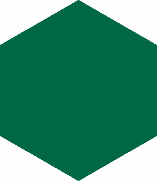 Ronda 5.5X6.3” Green Hexagon | Tiles By Kia