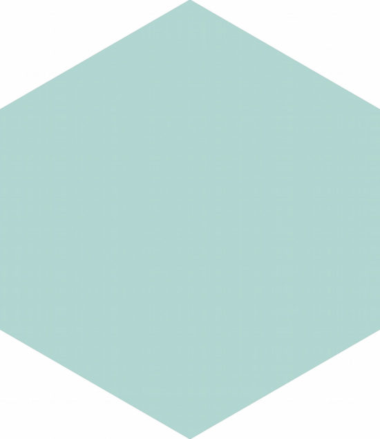 Ronda 5.5X6.3” Mint Hexagon | Tiles By Kia