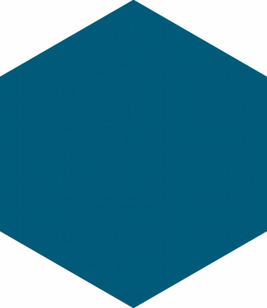 Ronda 5.5X6.3” Navy Blue Hexagon | Tiles By Kia