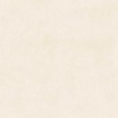 Serene Ivory 24x24 | Tiles By Kia