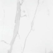 Statuario Venezia Honed 32X32 | Tiles By Kia