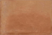 Summerville Cotto 16x24 | Tiles By Kia