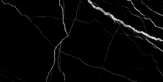 Treasure Midnight Nero 12x24 Polished | Tiles By Kia