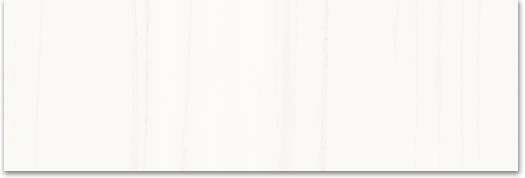 Treasure Ultimate Dolomite 4x12 Polished | Tiles By Kia