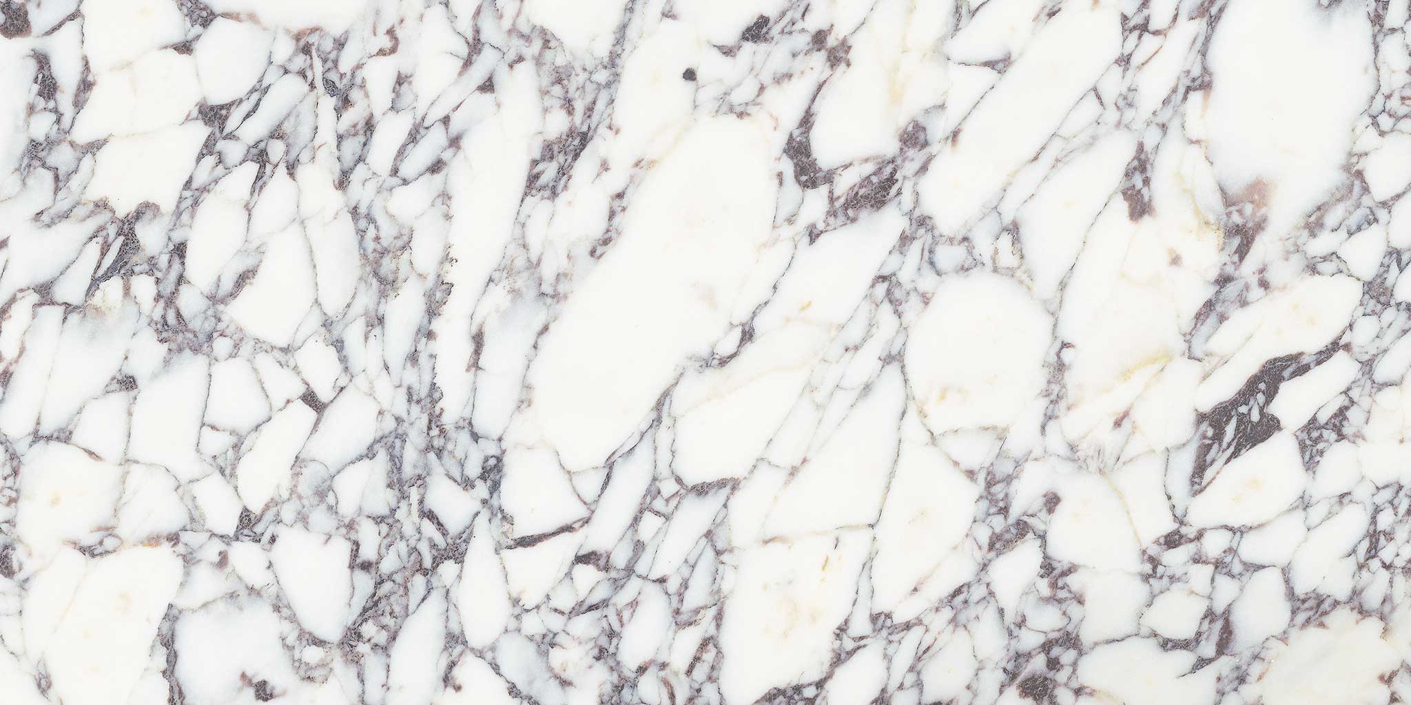 Viola Roccia 12x24 | Tiles By Kia