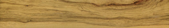 Warm Honey 6X36 | Tiles By Kia