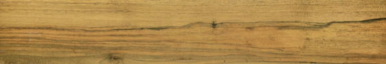 Warm Honey 6X36 | Tiles By Kia