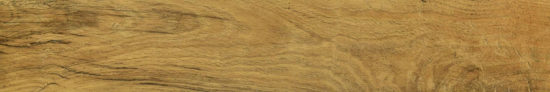 Warm Honey 6X36 | Tiles By Kia