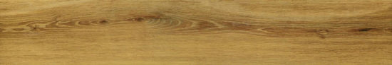 Warm Honey 6X36 | Tiles By Kia
