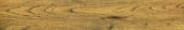 Warm Honey 6X36 | Tiles By Kia