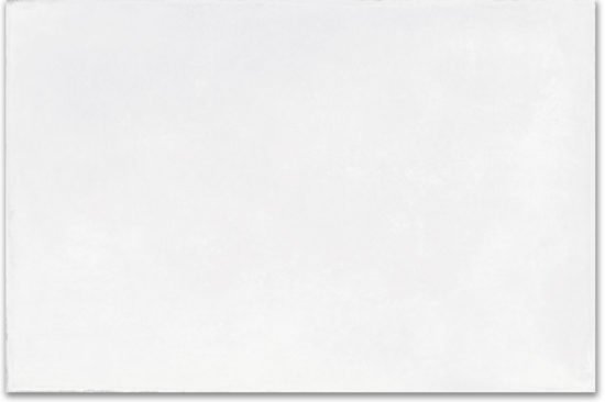 Whitehall Bianco 16x24 | Tiles By Kia