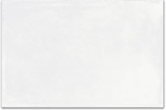 Whitehall Bianco 16x24 | Tiles By Kia