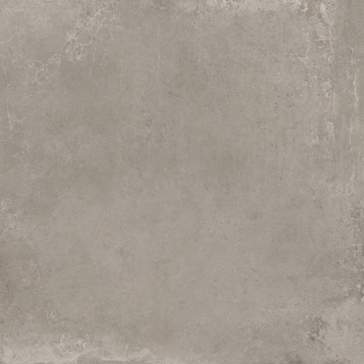 Williamsburg Taupe 39x39 | Tiles By Kia