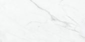 Altezza 12x24 Carrara | Tiles By Kia