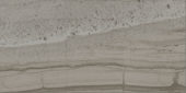 Arcadia 12X24 Trentino Polished | Tiles By Kia