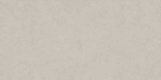 Lithoform 24X48 Crosscut Coast | Tiles By Kia