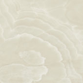 Lustra 48x48 Onyx Crema Polished | Tiles By Kia