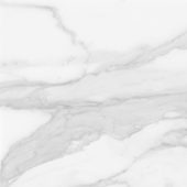 Plata 24x24 Statuario Brina Polished | Tiles By Kia