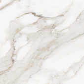 Royal Stoneworks 24X24 Calacatta Royale Polished | Tiles By Kia