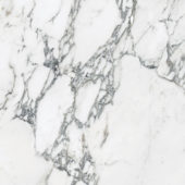 Royal Stoneworks 24X24 Italian Arabescato Honed | Tiles By Kia