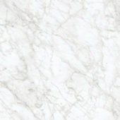 Royal Stoneworks 24X24 Old World Bianco Honed | Tiles By Kia