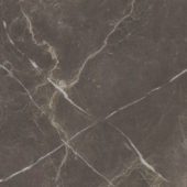 Royal Stoneworks 24X24 Regal Brown Marble Honed | Tiles By Kia